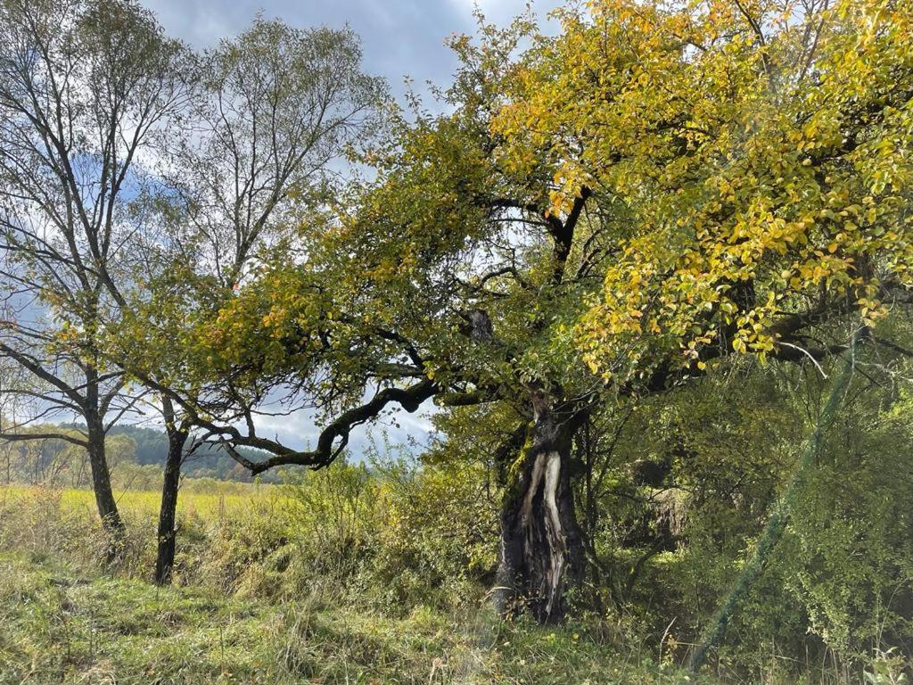 Kolejowy Smolnik Lägenhet Smolnik  Exteriör bild